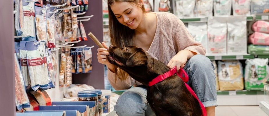 Imagem destaque: Digitalização e novos padrões de consumo impulsionam mercado pet em Minas Gerais