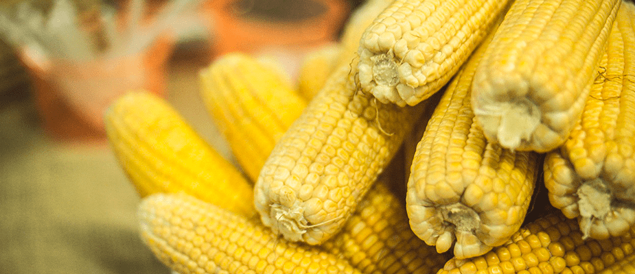 Imagem destaque: Produtos típicos de festa junina têm altas de até 60% nos preços