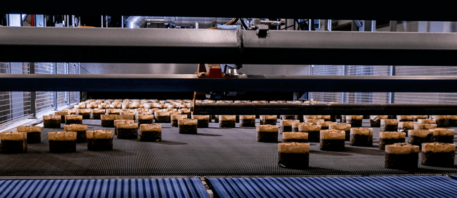Imagem destaque: Cacau Show investe R$ 150 milhões em reformulação de fábrica