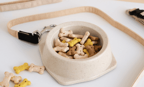 Imagem: E-commerce de alimentos para pets atinge maior patamar desde 2020