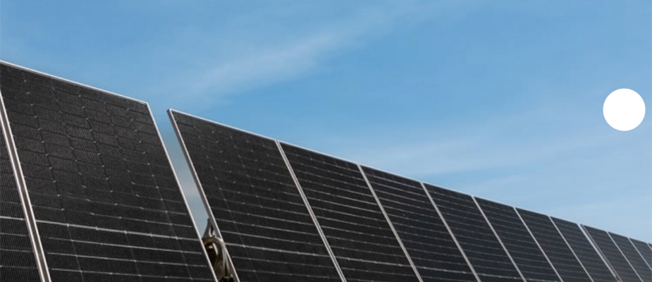 Imagem destaque: Grupo Pereira gera 1 GWh de energia renovável pela primeira vez em sua história