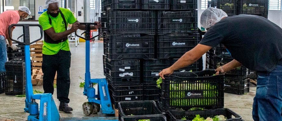 Imagem destaque: Startup colombiana Frubana encerra atividades no Brasil