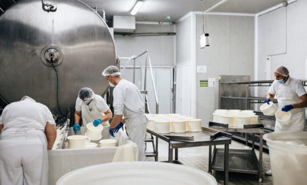 Imagem: Lactalis investe R$ 400 milhões em produção de queijos no RS
