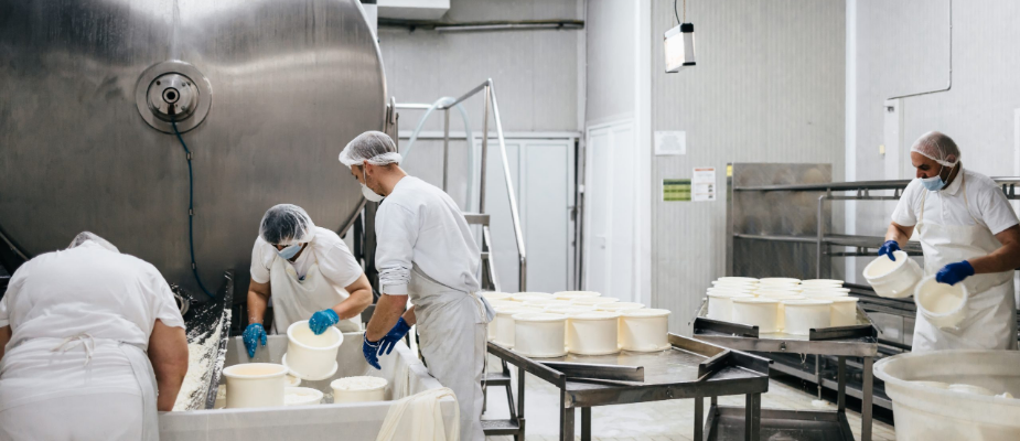 Imagem destaque: Lactalis investe R$ 400 milhões em produção de queijos no RS