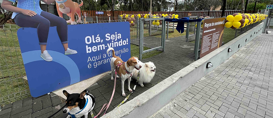 Imagem destaque: Prezunic inaugura Espaço Pet Friendly em unidade no Rio de Janeiro