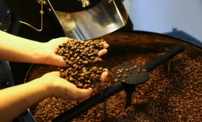 Imagem: Tarifaço de Trump: Exportação de café especial brasileiro despenca nos EUA