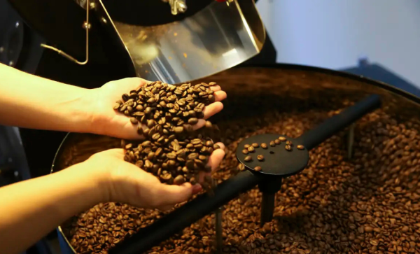 Imagem: Preço do café deve apresentar aumento de 15% nos próximos meses, diz indústria