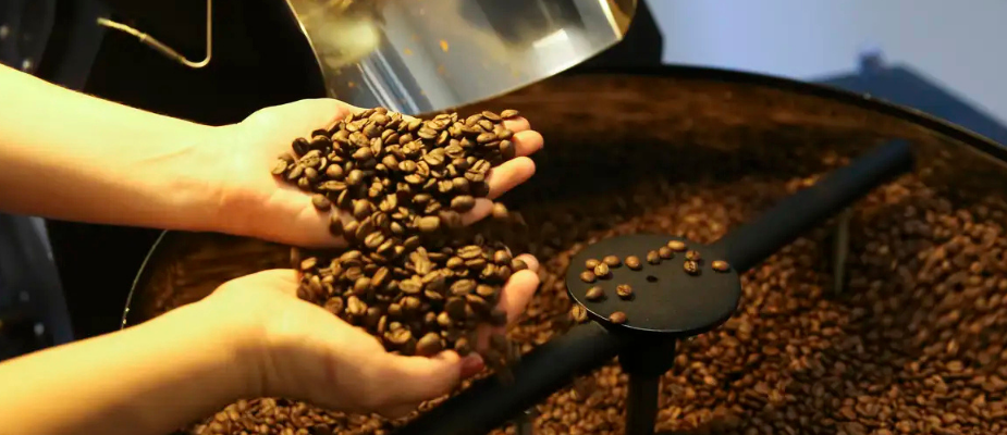 Imagem destaque: Tarifaço de Trump: Exportação de café especial brasileiro despenca nos EUA