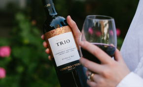 Imagem: Concha y Toro evolui no e-commerce com estratégias de retail media