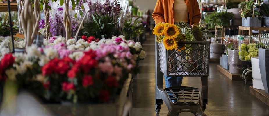 Imagem destaque: Setor de jardinagem ganha destaque nos supermercados e deve crescer na primavera