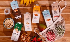 Imagem: Novas fórmulas: Cajueiro adiciona mix de vitaminas e cálcio vegano a quatro produtos