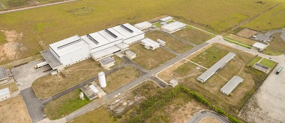 Imagem destaque: Bauducco amplia linha de produção de fábrica em Alagoas