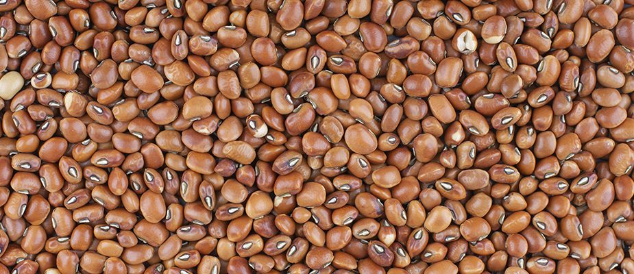 Imagem destaque: Feijão atinge maior valor de mercado em nove meses