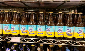 Imagem: Verdemar e Lagunitas lançam campanha de verão focada no engajamento digital