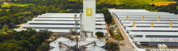 Imagem: Bunge e Mantiqueira Brasil fecham acordo para fornecimento de soja