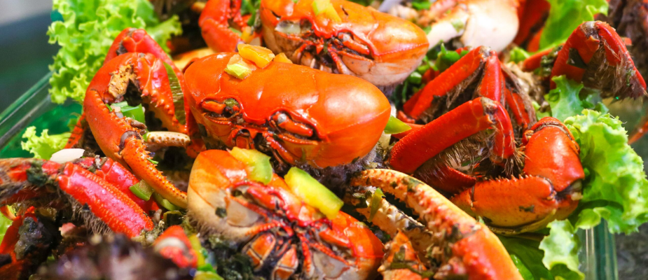 Imagem destaque: Turismo de Aracaju e Abrasel/SE alinham calendário de eventos gastronômicos na capital