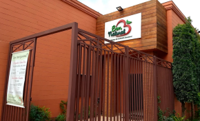 Imagem: Bem Natural apresenta cardápio de Páscoa com opções veganas e massas artesanais