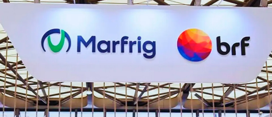 Imagem destaque: MBRF tem queda de 92% em lucro líquido no 4º trimestre de 2025