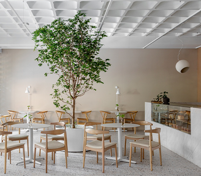 Imagem: Caramelia aposta em arquitetura para ampliar experiência gastronômica