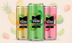 Imagem: Del Valle lança linha de limonadas em lata