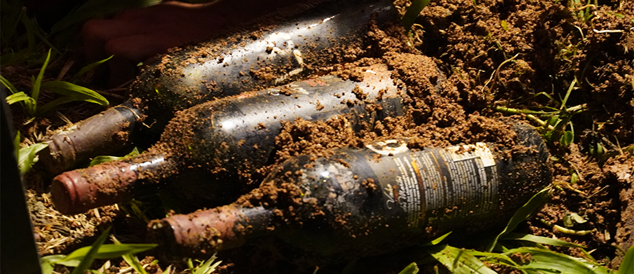 Imagem destaque: Jantar imersivo resgata ritual histórico do Vinho dos Mortos