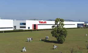 Imagem: Yakult aumenta eficiência e sustentabilidade com tecnologia da Tetra Pak