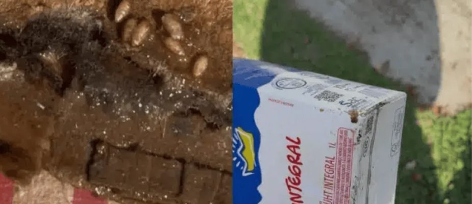 Imagem destaque: Roldão Atacadista é alvo de ação do Procon e da Vigilância Sanitária