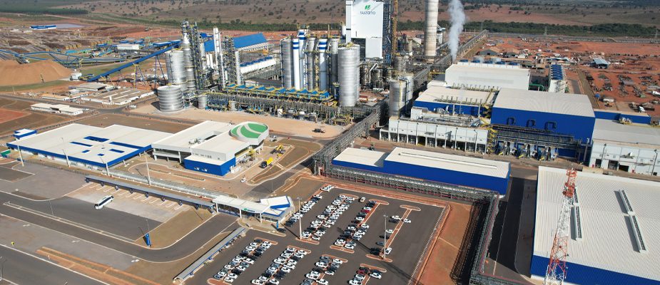 Imagem destaque: Suzano avança em parceria estratégica com a Kimberly-Clark após aprovações regulatórias