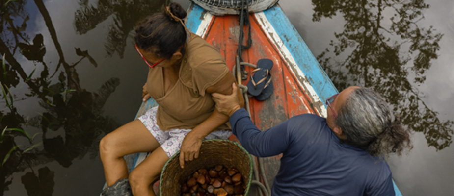 Imagem destaque: Natura cria startup para comercializar bioingredientes da Amazônia