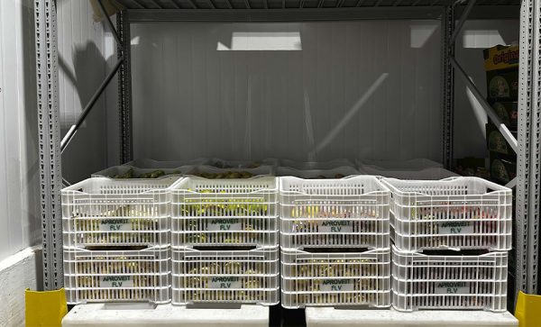 Imagem: Grupo Pereira cria iniciativa para aproveitamento de frutas, legumes e verduras