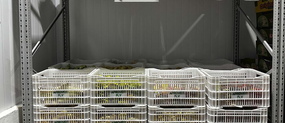Imagem destaque: Grupo Pereira cria iniciativa para aproveitamento de frutas, legumes e verduras