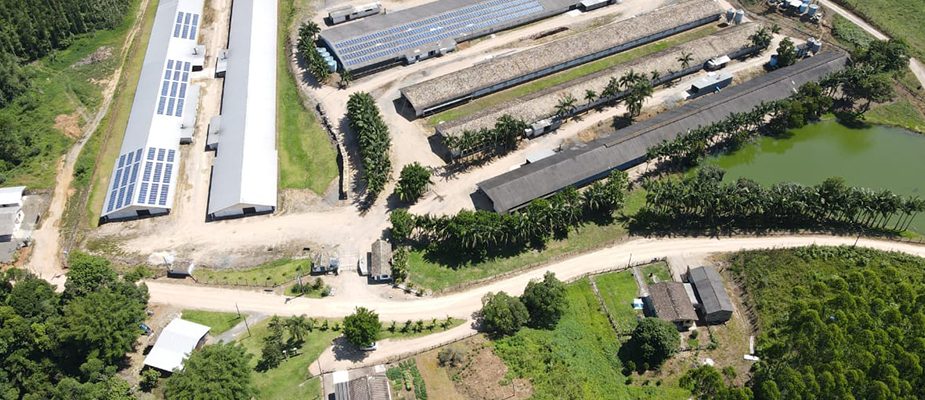 Imagem destaque: Seara investe mais de R$ 4 bilhões em plataforma SuperAgro