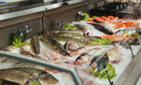 Imagem: Mercado de pescado cresce e ganha espaço no varejo e food service
