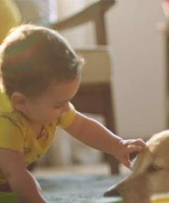 Imagem: Hipoglós Divulga Nova Campanha Com Vídeo