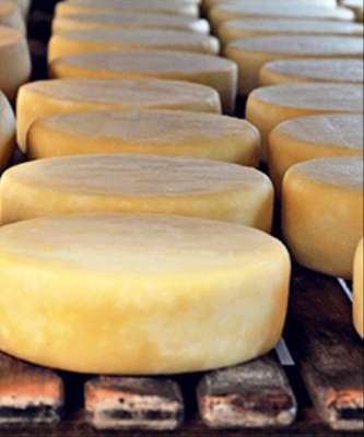 Imagem: Produção de Queijo Deve Crescer 2,5% em 2018