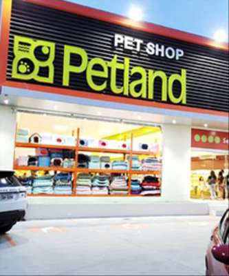 Imagem: Petland Brasil Apresenta Alta nos Últimos Dias