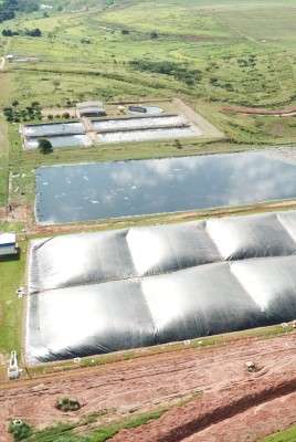 Imagem: JBS avança em metas de sustentabilidade no Brasil