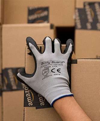 Imagem: Amazon Registra Alta de 22,4% na Receita
