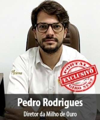 Imagem: Milho de Ouro Quer Faturar 10% a Mais Este Ano