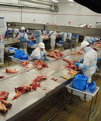 Imagem: Marfrig Amplia Venda de Carne aos Estados Unidos