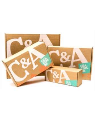 Imagem: C&A Reestrutura Seu E-commerce