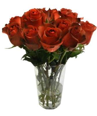 Imagem: Flores Online Espera Crescimento de 25%