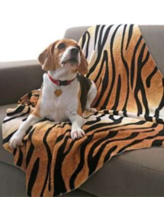 Imagem: Jolitex Lança Linha HomePet