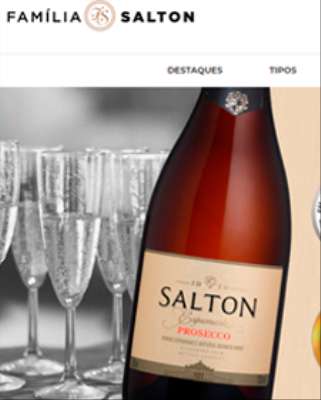 Imagem: Salton Inicia Vendas pelo E-commerce