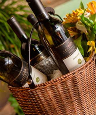 Imagem: GPA Prevê Aumento de 15% nas Vendas de Vinhos
