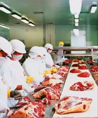 Imagem: Marfrig Acumula Receita de R$ 5,1 Bilhões