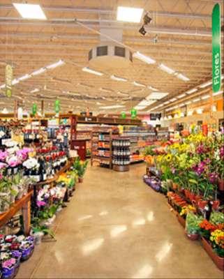 Imagem: GPA Projeta Alta em Flores Durante o Feriado