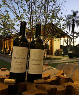 Imagem: Villa Santa Maria Aposta no E-commerce