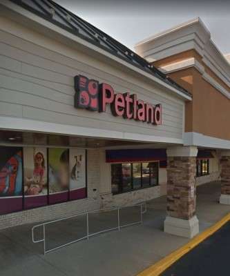 Imagem: Grupo Jereissati Compra 20% da Petland&CO