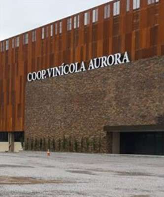 Imagem: Valor das Exportações Sobe na Vinícola Aurora
